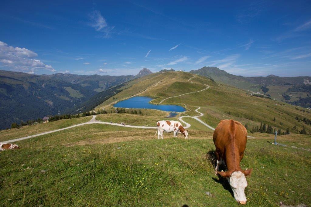 Апартаменты Neuhaushof Холлерсбах  Экстерьер фото